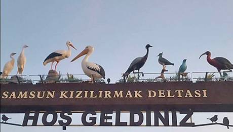 Kızılırmak Deltası Kuş Cenneti'ne Girişlere Sınırlama