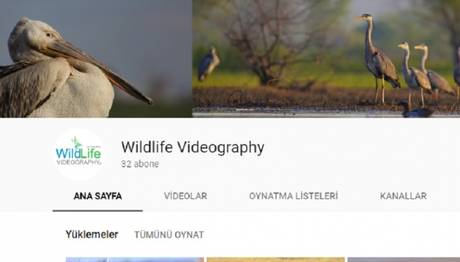 `Wildlife Videography` Yayında
