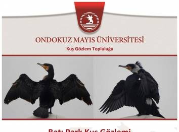 OMÜ Kuş Gözlem Etkinliği