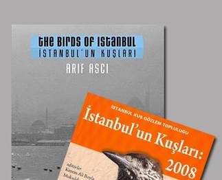 Ve İsTaNBuL'un KuŞLarı...
