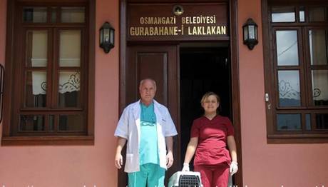 Örnek haber adı gelecek.