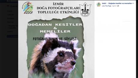 Örnek haber adı gelecek.
