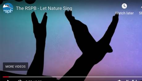 RSBP'den  Britanya'nın Azalan Kuşlarına Dikkat Çekmek İçin Müzik Bandı