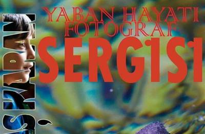Ada Ulaş tan Sergi
