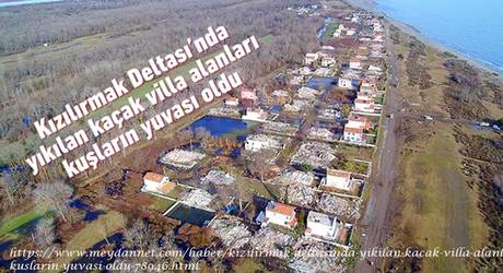 Kızılırmak Deltası'nda Yıkılan Kaçak Villa Alanları Kuşların Yuvası Oldu