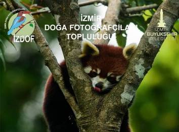 Örnek haber adı gelecek.