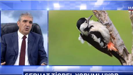 Örnek haber adı gelecek.