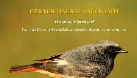 Örnek haber adı gelecek.