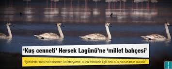 Hersek Lagünü ne Millet Bahçesi Yapılacak : Türkiye nin en büyüğü