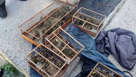 132 Bin Liralık Kuş Avı Cezası