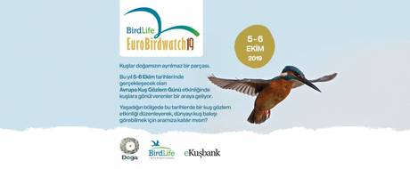 BirdLife EuroBirdwatch19