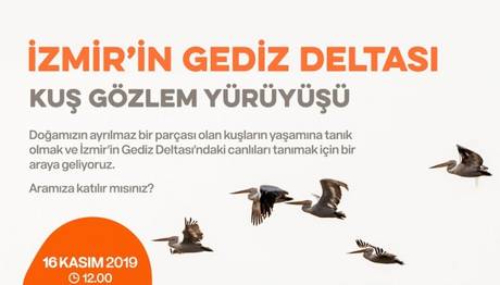 Gediz Deltası Kuş Gözlem Yürüyüşü