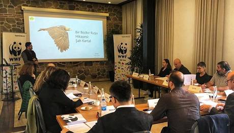 WWF Türkiye'de desteklenen projeler belli oldu