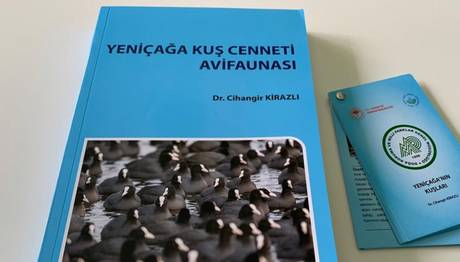 YENİÇAĞA KUŞ CENNETİ AVİFAUNASI
