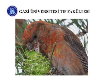 Fotoğraf Sergisi-KUŞLAR