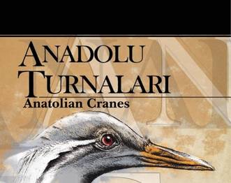 Anadolu Turnaları kitabı çıktı!