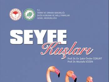 ''SEYFE KUŞLARI'' kitabı hazır..