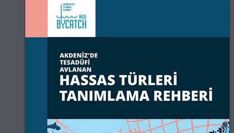 Örnek haber adı gelecek.