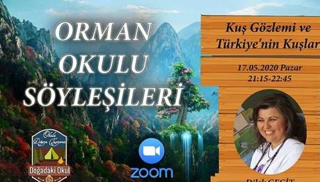 Örnek haber adı gelecek.