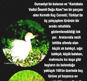 Örnek haber adı gelecek.