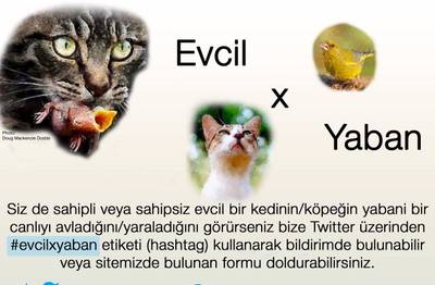 Örnek haber adı gelecek.