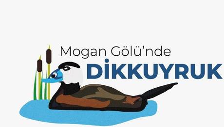 Örnek haber adı gelecek.