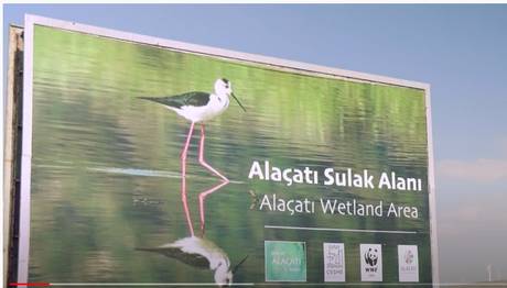 Mesafeli Geziler: Alaçatı'da Kuş Gözlemciliği