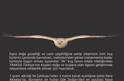 Örnek haber adı gelecek.