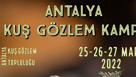 Örnek haber adı gelecek.