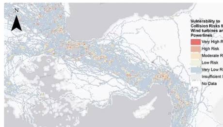 Rüzgar Türbinleri Kapsamlı Araştırması: Türkiyeyi De İşaret Etti