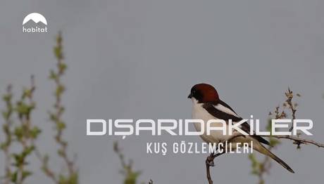 Habitat Tv - Kavak Deltası Kampı Belgeseli