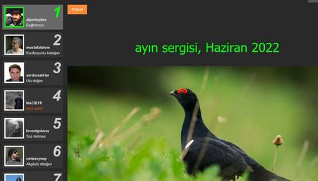 YARIŞMA