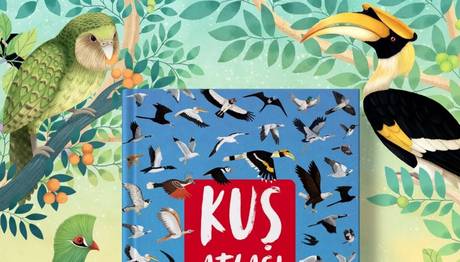 Kitap / Kuş Atlası