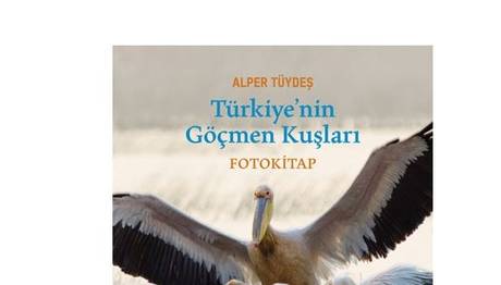 FotoKitap / Türkiye'nin Göçmen Kuşları
