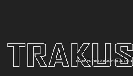 Plastik Kirliliği: Kuşlar Çöplerimizin İçinde Hayatta Kalmaya Çalışıyor