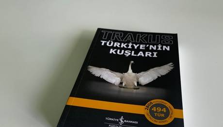 EYLÜL GÖZLEM YARIŞMASI