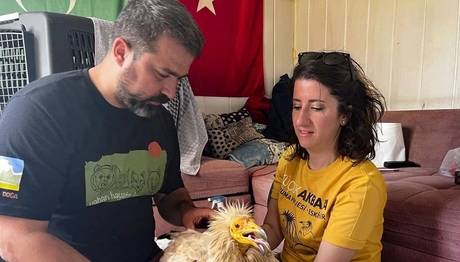 Örnek haber adı gelecek.