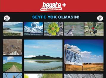Örnek haber adı gelecek.