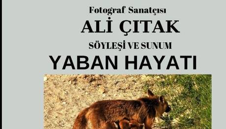 Örnek haber adı gelecek.