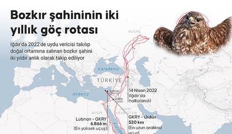 Örnek haber adı gelecek.