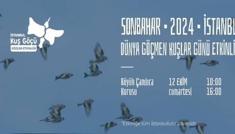 2024 Sonbahar Kuş Göçü Gözlem Etkinliği
