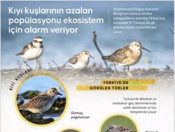 Örnek haber adı gelecek.