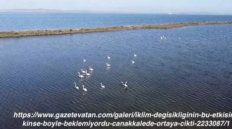 Örnek haber adı gelecek.