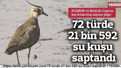 Örnek haber adı gelecek.