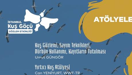 Örnek haber adı gelecek.