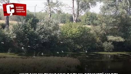 Örnek haber adı gelecek.