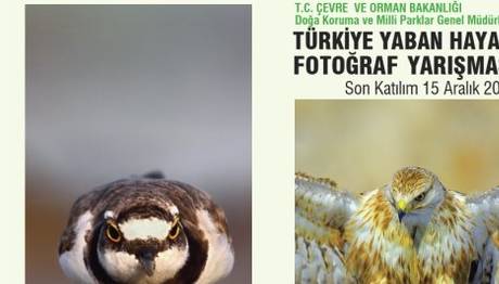 Örnek haber adı gelecek.
