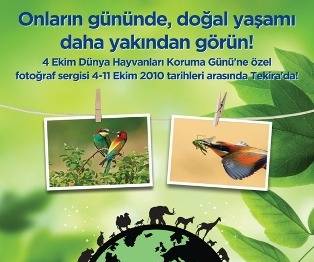 Örnek haber adı gelecek.