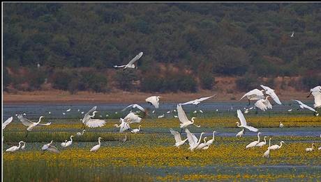ENEZ'DE İPTAL DAVASI!