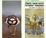 Örnek haber adı gelecek.